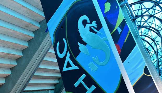 Une fresque géante dévoilée au Stade Océane