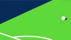 Report l’Euro 2020 : communiqué de la LFP