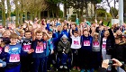 ELA au Collège de la Hève  à Sainte Adresse