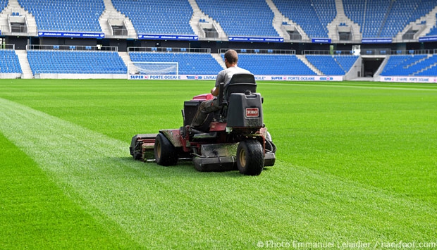 Premier test pour la nouvelle pelouse du Stade Océane