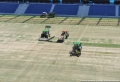 Réfection de la pelouse du Stade Océane