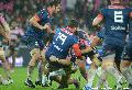 Stade Français Paris - FC Grenoble