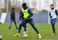Entraînements : la reprise en photos