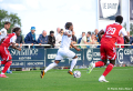 Stade Brestois 29 - HAC (1-0) en images