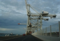 Visite du Port du groupe N3