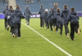 Animations Stade HAC NIORT