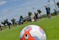 Reprise de l'entraînement